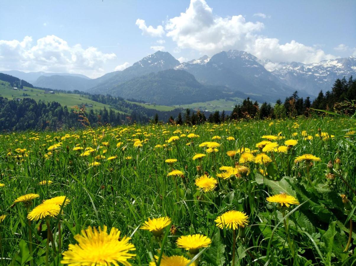 Lammerauhof Абтенау Екстериор снимка