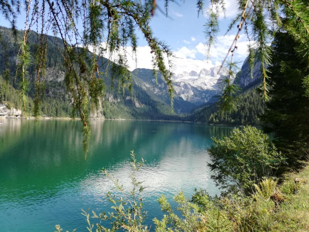 Lammerauhof Абтенау Екстериор снимка