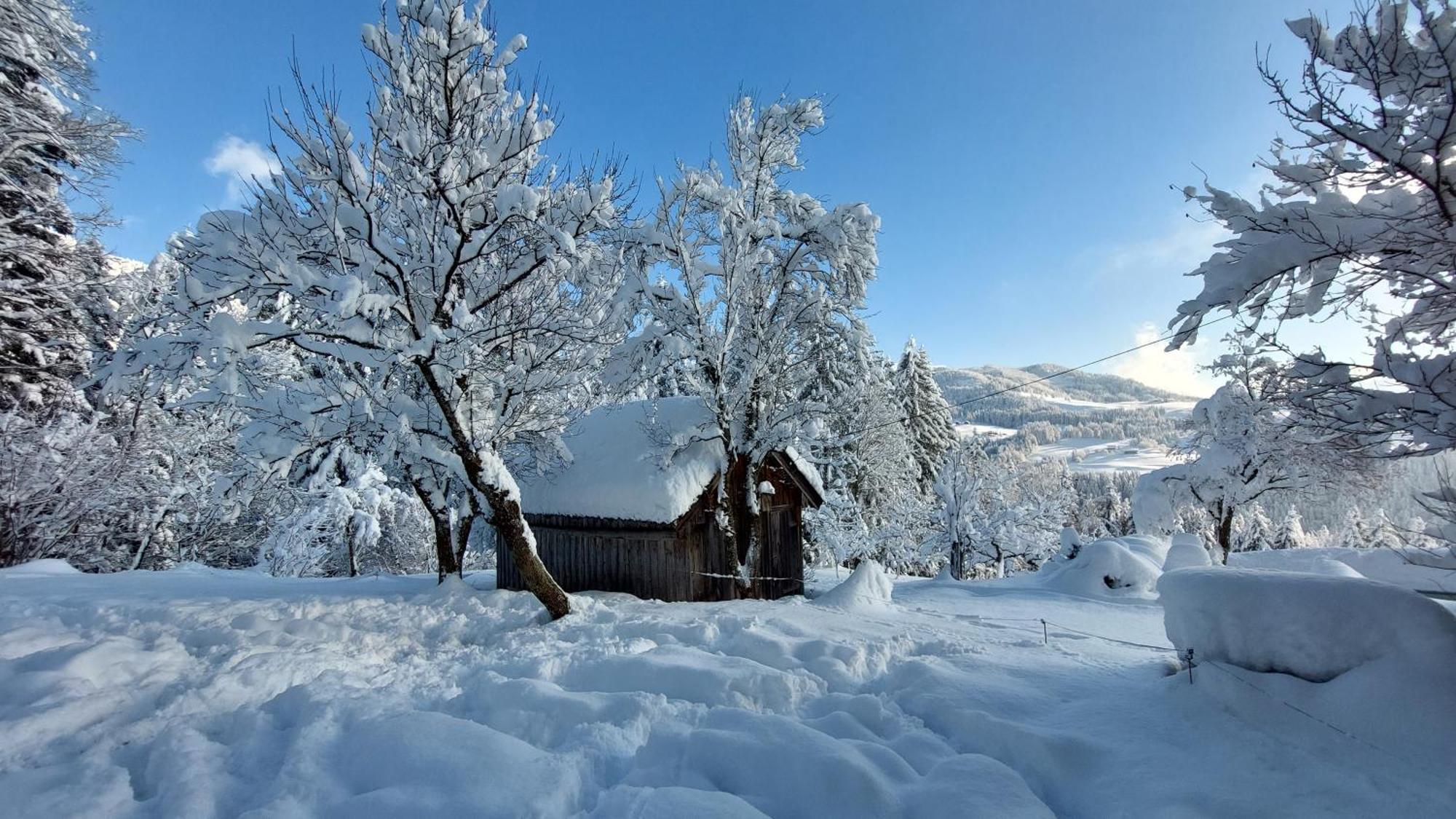 Lammerauhof Абтенау Екстериор снимка